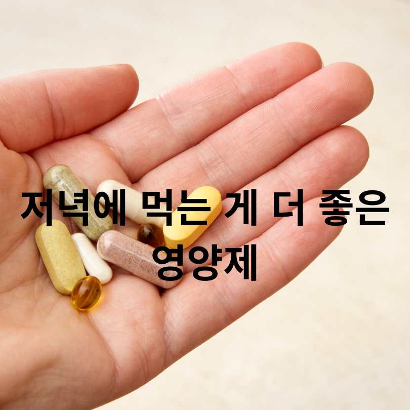 영양제 먹는 순서와 시간