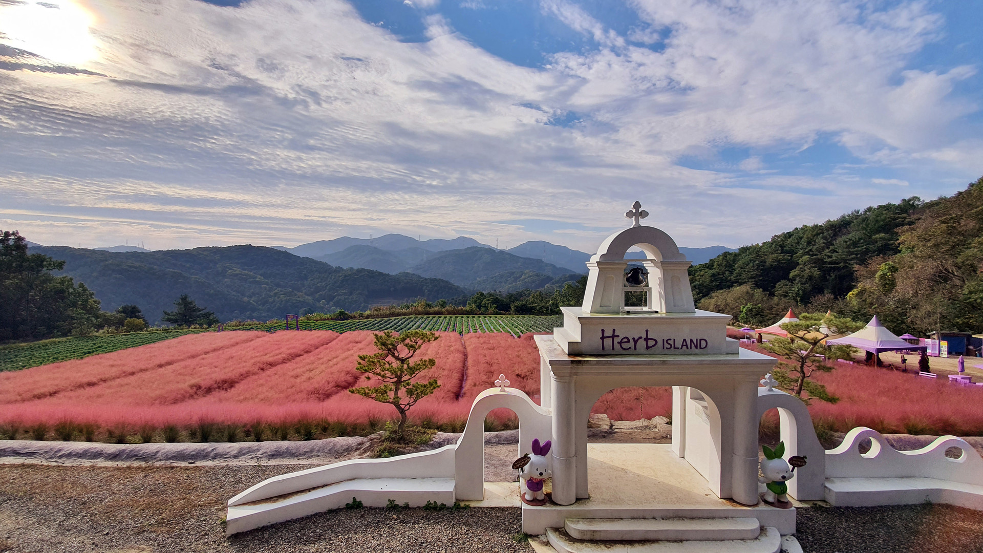 허브아일랜드 핑크뮬리축제