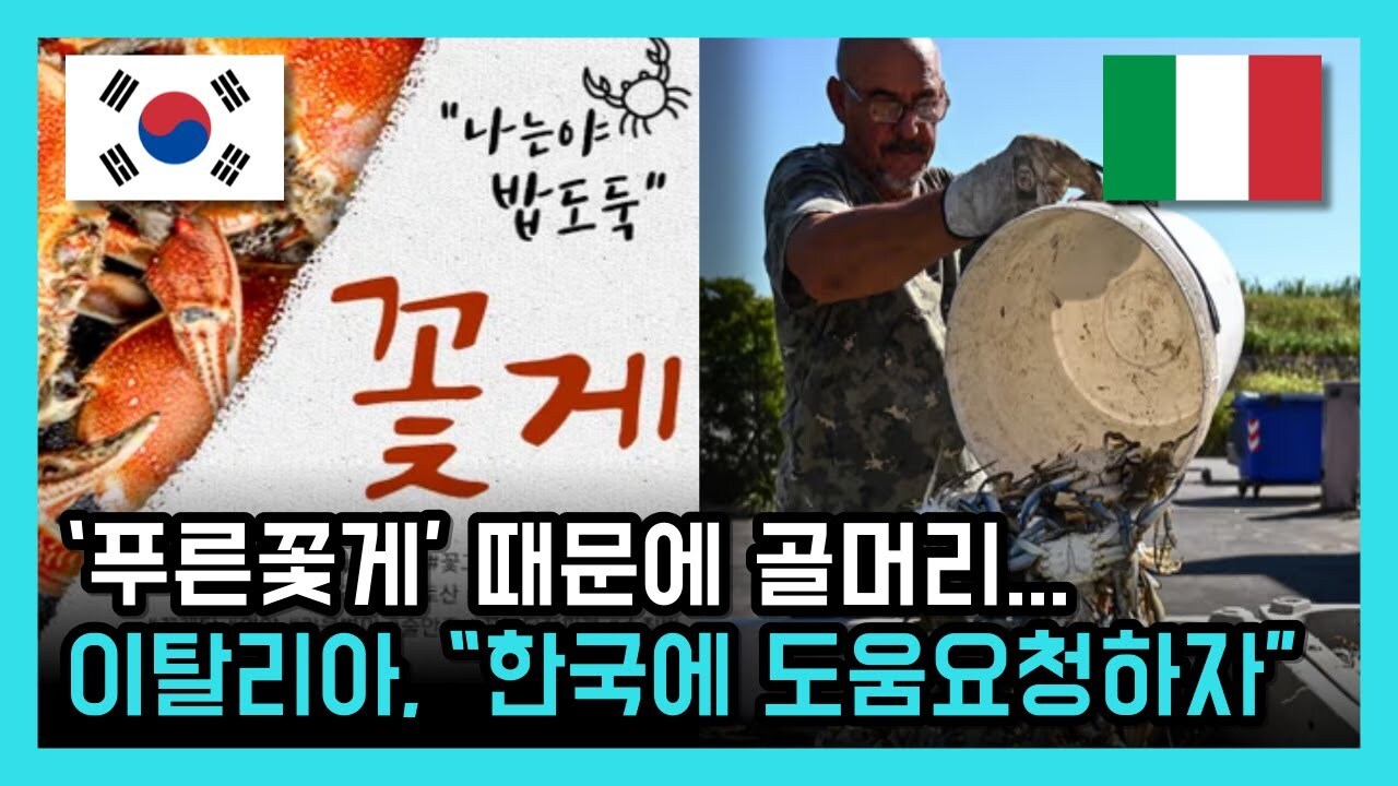 푸른꽃게