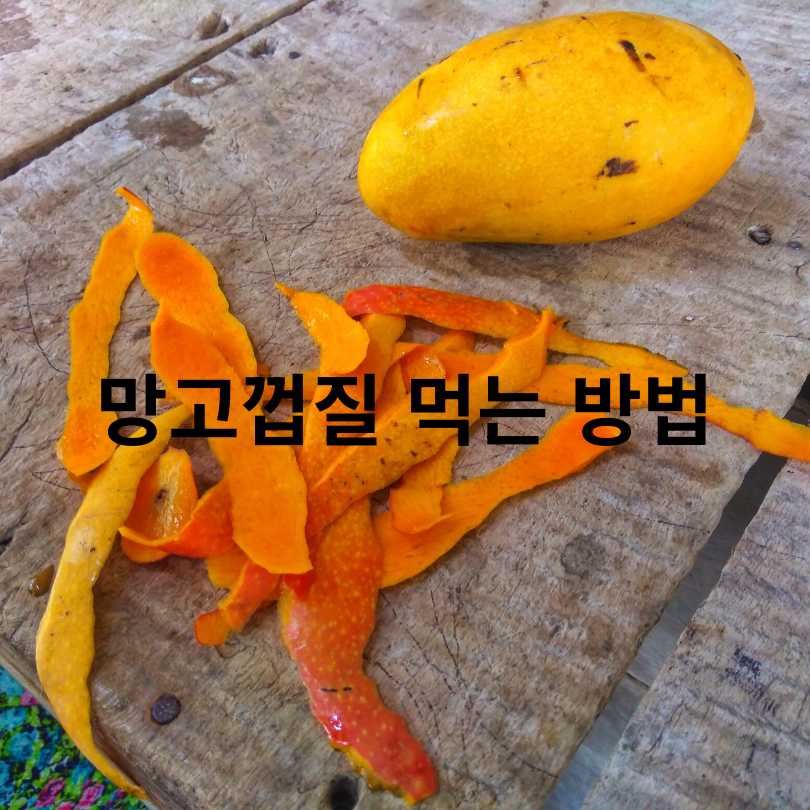 망고껍질 효능과 망고껍질 먹는 방법