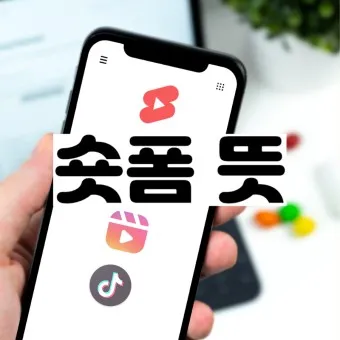 릴스 뜻 릴스란 의미 유래_5