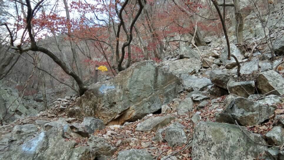 100대 명산 등산하기 다섯번째 유명할 만큼 아름다운 산 유명산 신령스러운 전설과 자연미&amp;#44; 역사문화가 어우러진 산 용문산 연계 산행 
