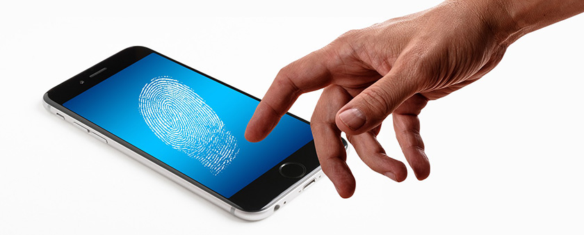 실제 피해 사례