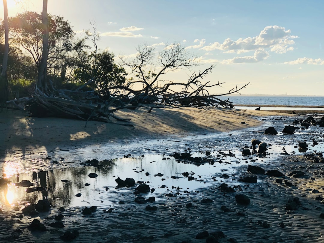 Dead Island
