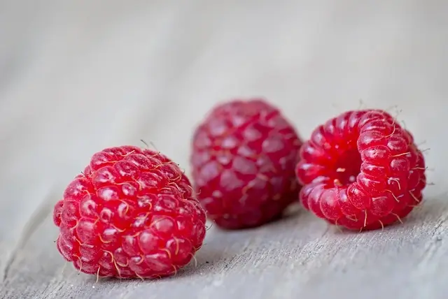 fruit-3101926_640