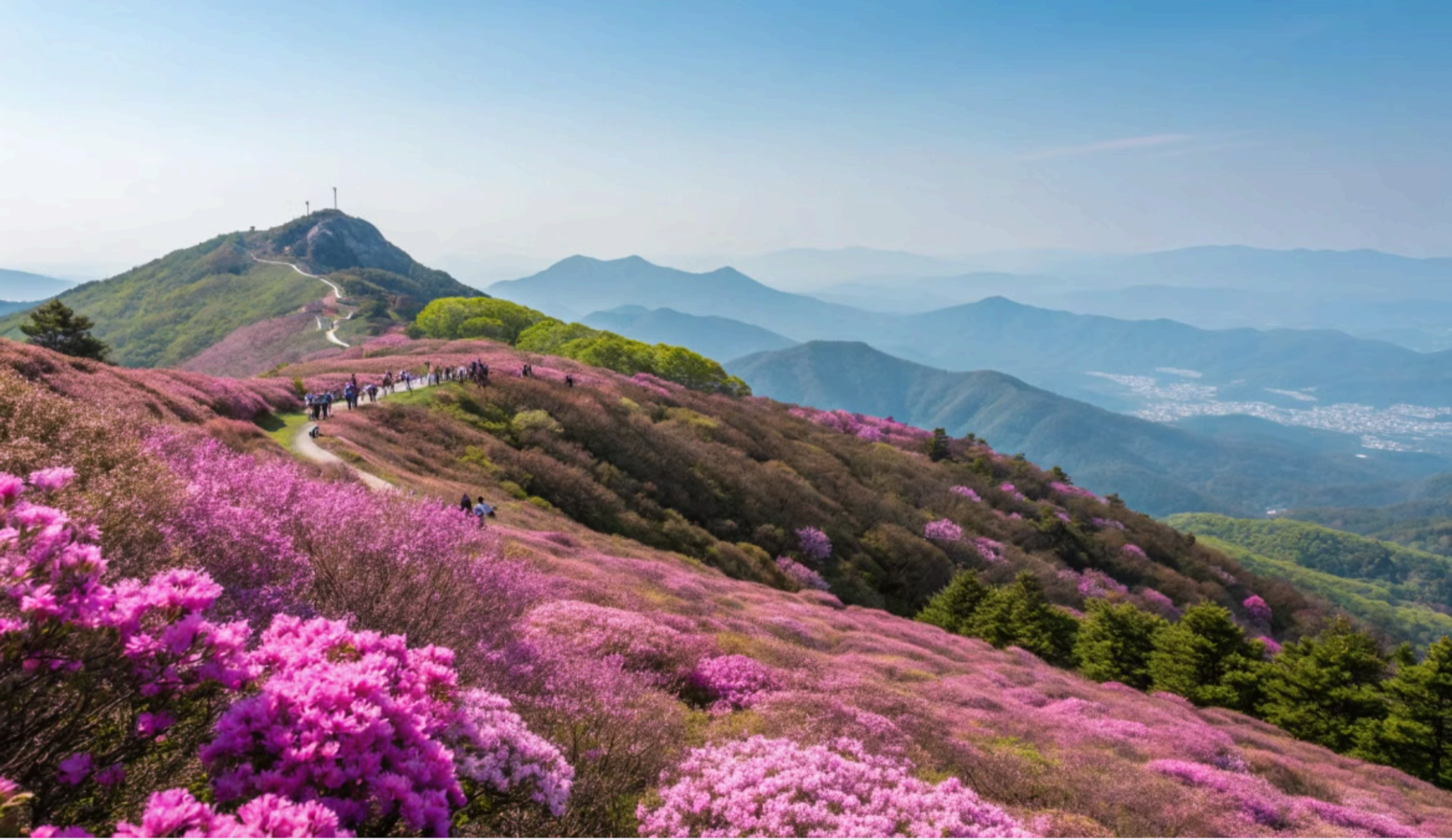 [3,4월 축제]원미산 진달래축제❘진달래 동산 3월, 4월 방문 후기