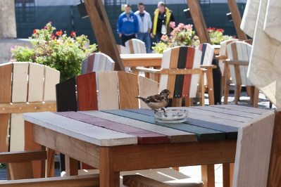 온라인 사진 & 영상 판매로 월 100만원 벌기