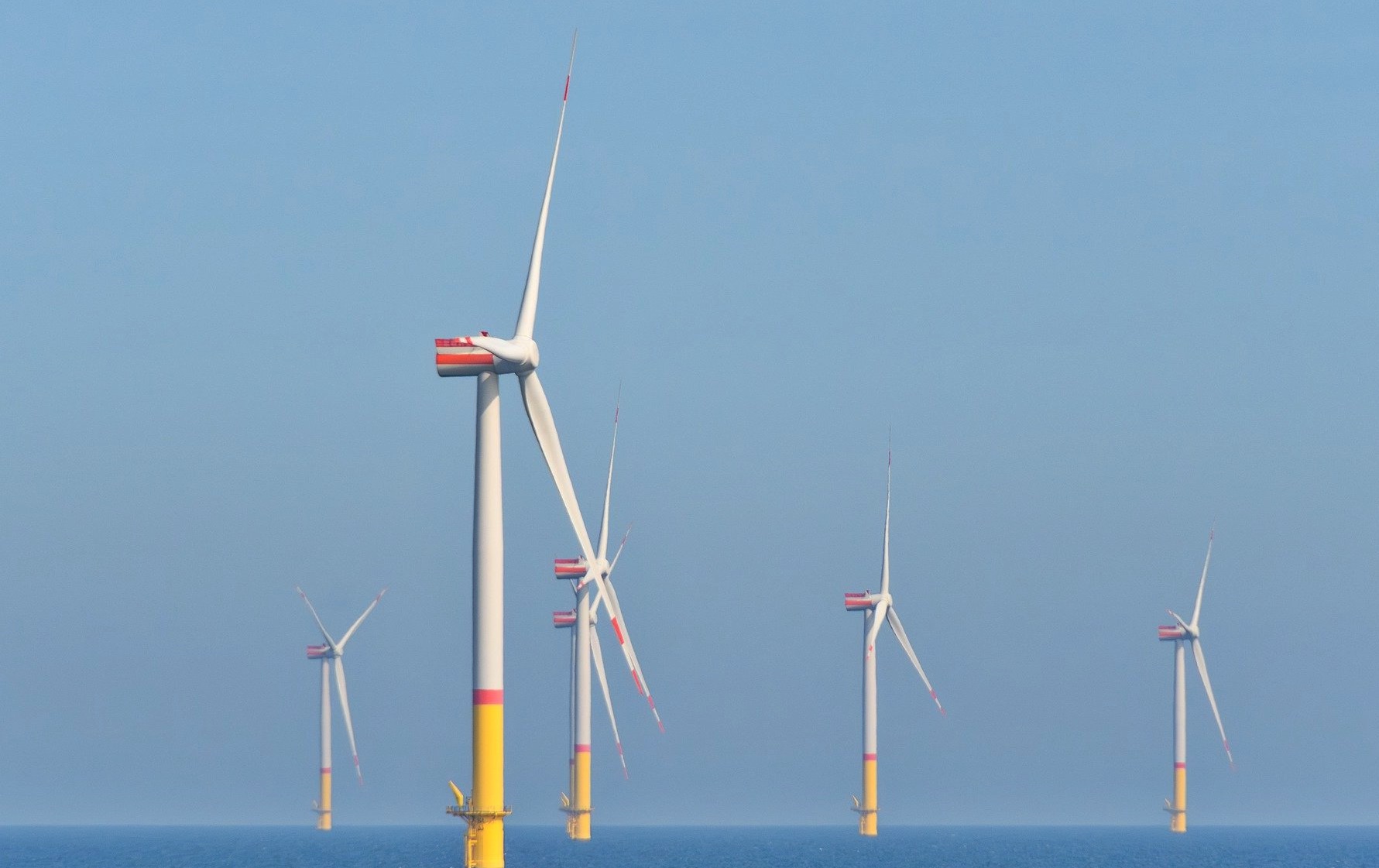 삼성전자가 재생에너지를 선택한 이유 7가지 생존 전략!