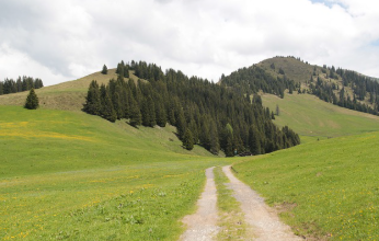 토지이용계획 확인원 신청 꿀팁 11