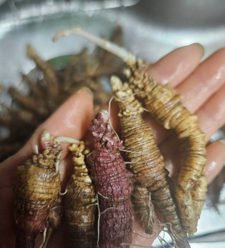 극한직업 산더덕