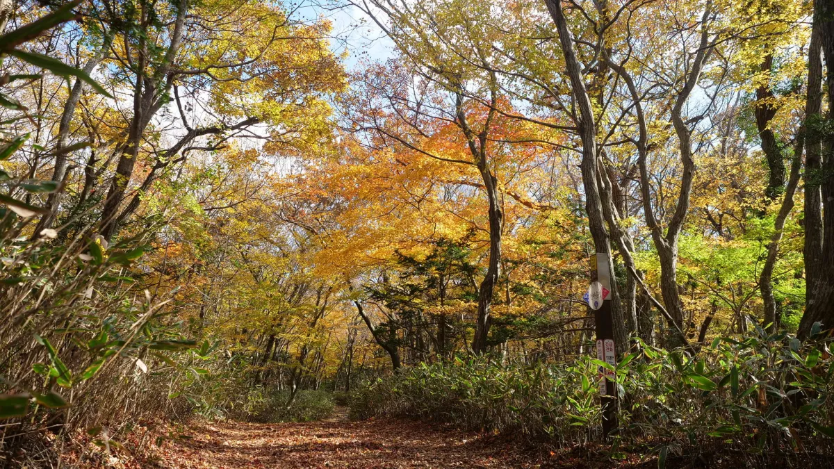 제주도-가을-여행-단풍-명소-천아계곡-산책길