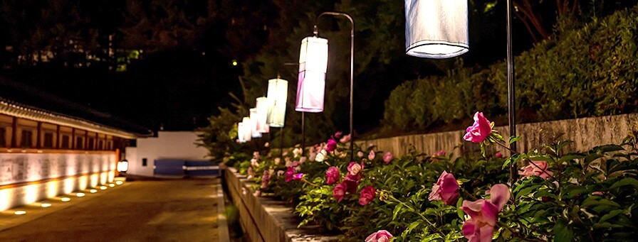 2025 수원화성 야간개장