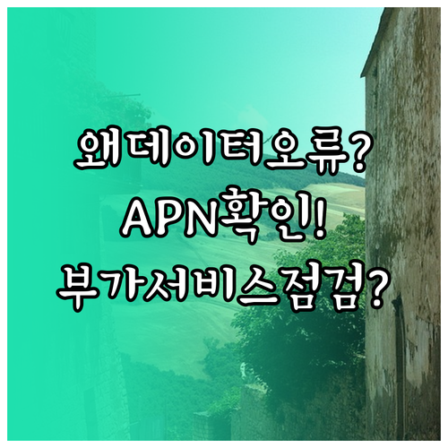 통신사 변경 후 모바일 데이터 오류,..