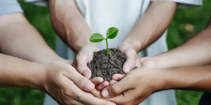 기초생활수급 기준 중위 소득