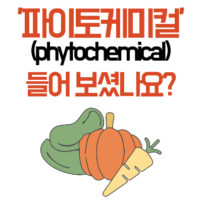 파이토케미컬
