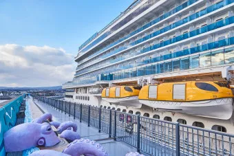 제주 강정항 출발 크루즈 여행 비용 예약 예매_21