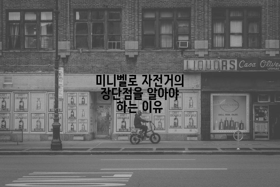 미니벨로 자전거의 장단점을 알아야 하는 이유