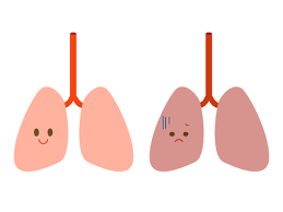폐에 물이 차는 원인