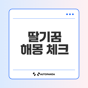 딸기꿈 해몽 체크