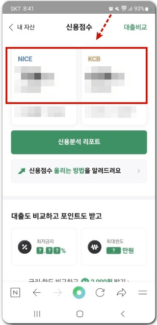 신용 점수 조회 방법 무료[nice, kcb, 토스, 카카오, 네이버]