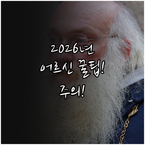 2026년 어르신 스포츠 상품권 신청..
