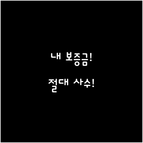 보증금 지키는 임차인 전용 오피스텔 ..