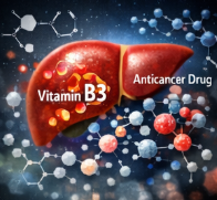 비타민 B3와 항암제의 상호작용