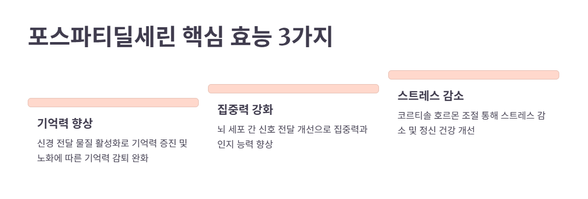 포스파티딜세린 핵심 효능 3가지