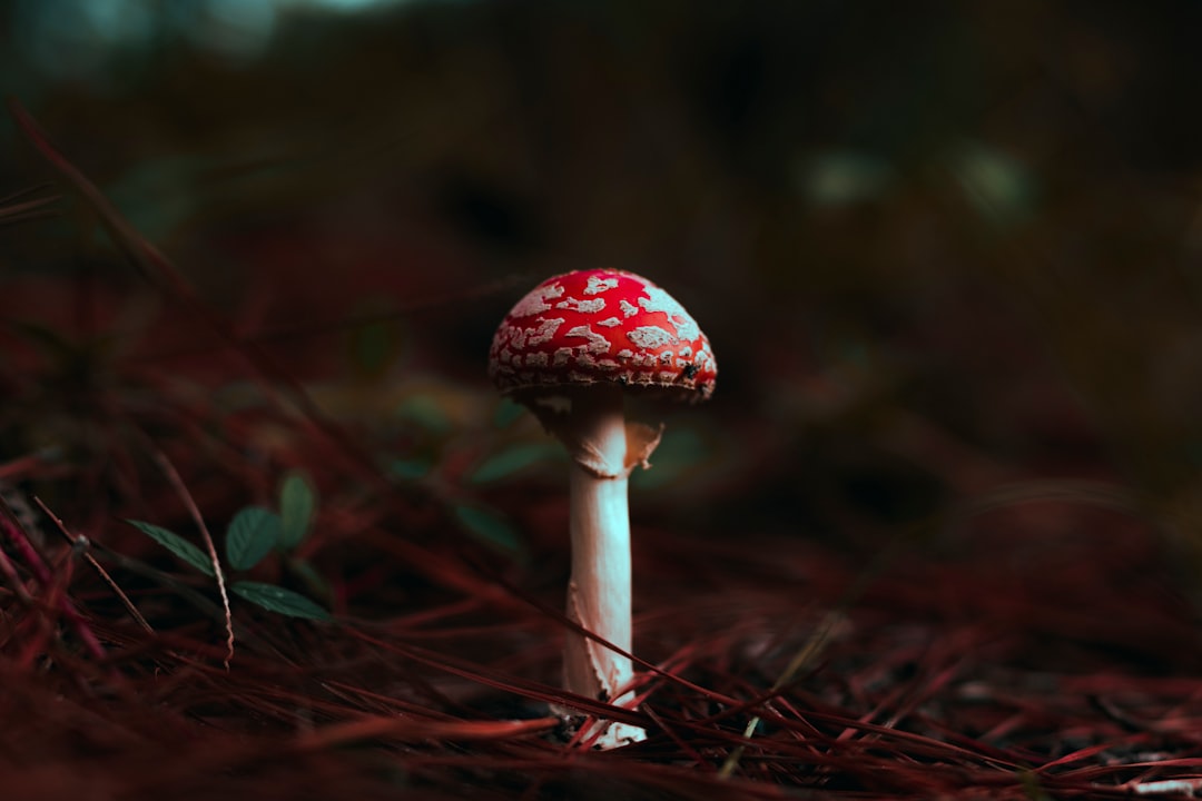 substrate