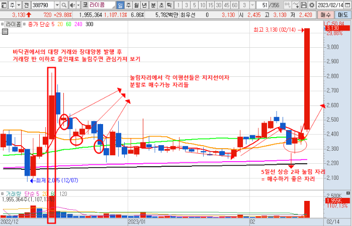 2월 14일 라이콤 일봉 차트