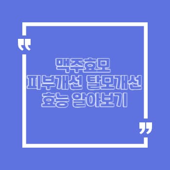 맥주효모 효능 5가지