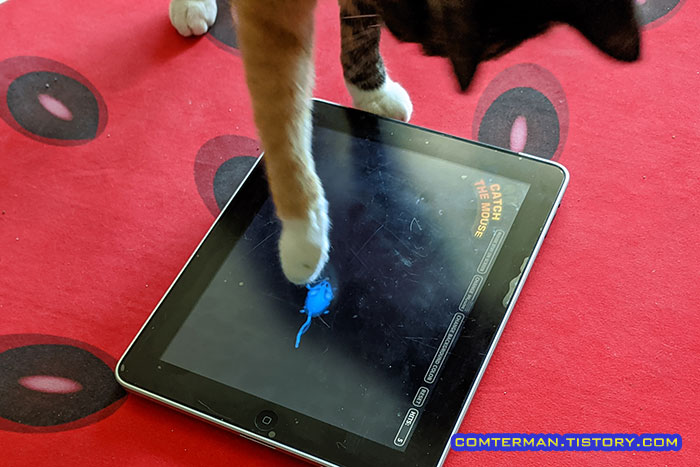 1세대 아이패드 고양이 장난감