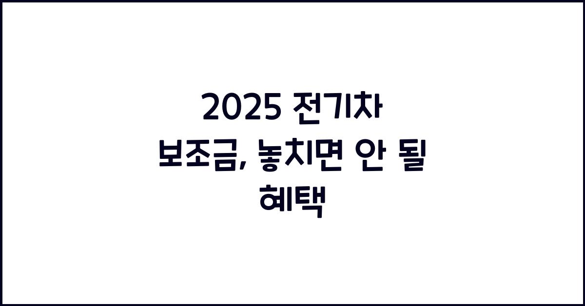 2025 전기차 보조금