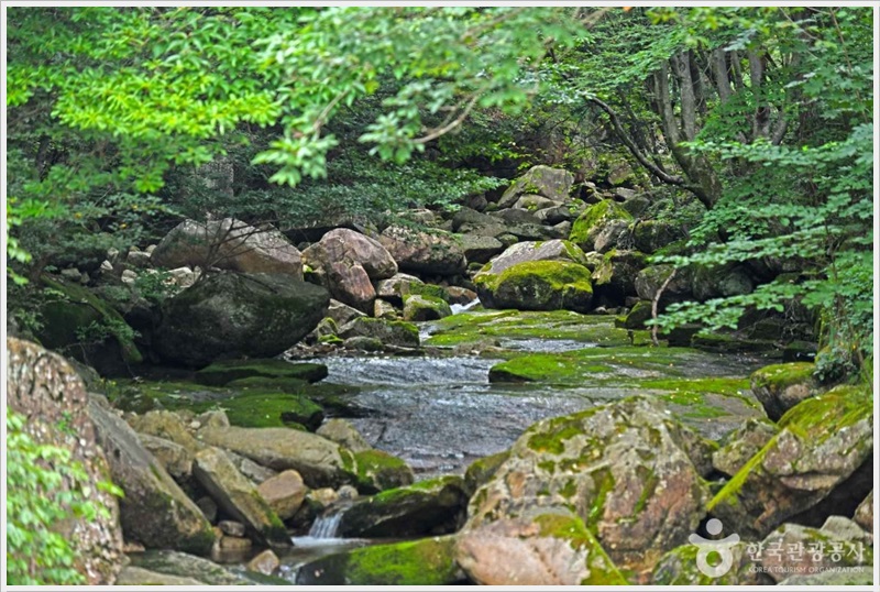 송계계곡 물놀이 포인트 및 사진스팟