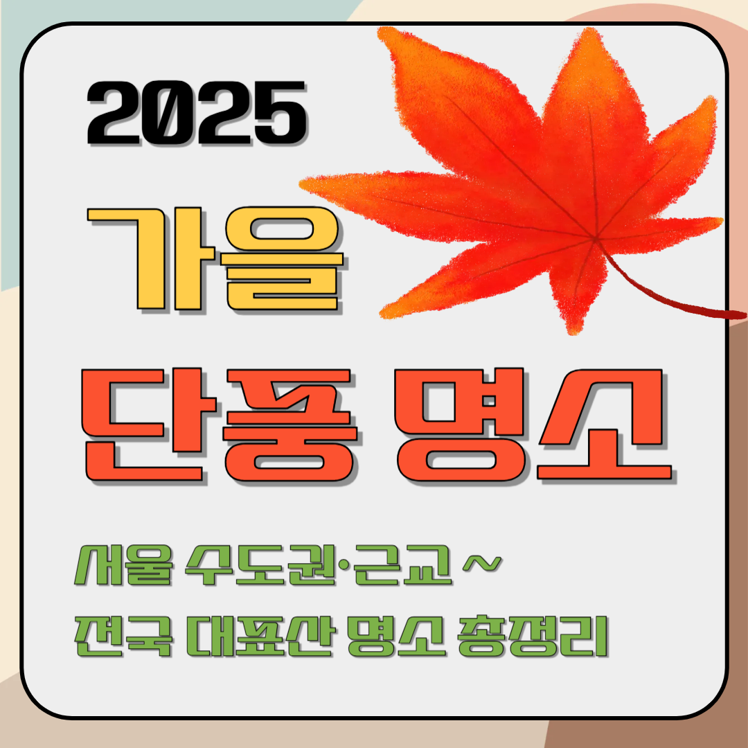 2025 가을 단풍 명소 서울 수도권·근교 ~ 전국 대표산 명소 이미지