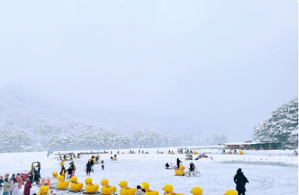 생방송투데이 썰매축제 경기도 포천
