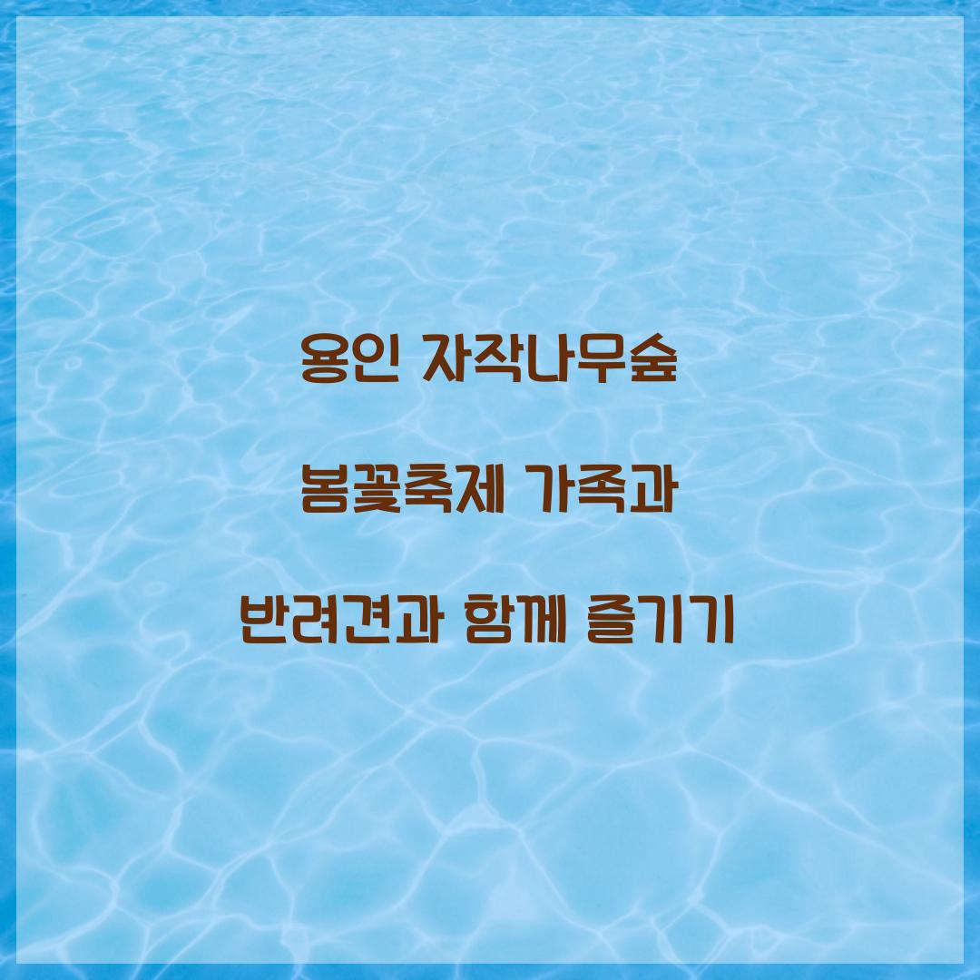 용인 자작나무숲 봄꽃축제
