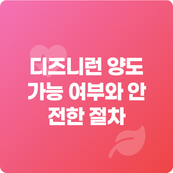 디즈니런 양도 가능 여부와 안전한 절차