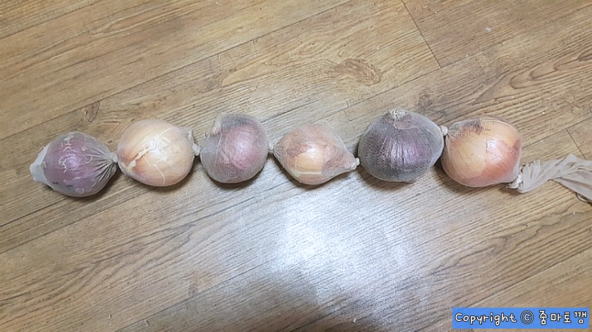 스타킹에-다-넣기