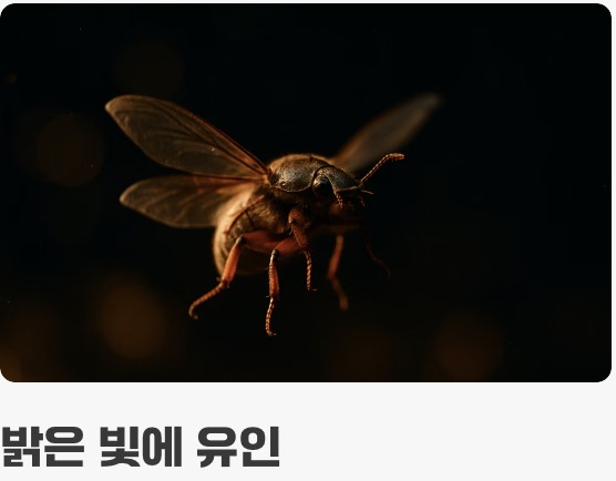 왜 하필 가장 깨끗해야 할 침실에?