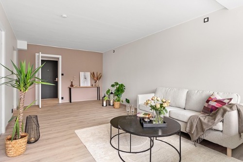 Bushcraft와 미니멀라이프 비교 ❘ 의미와 실생활 적용 방법