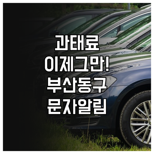 부산 동구 불법 주정차 과태료 방지 ..