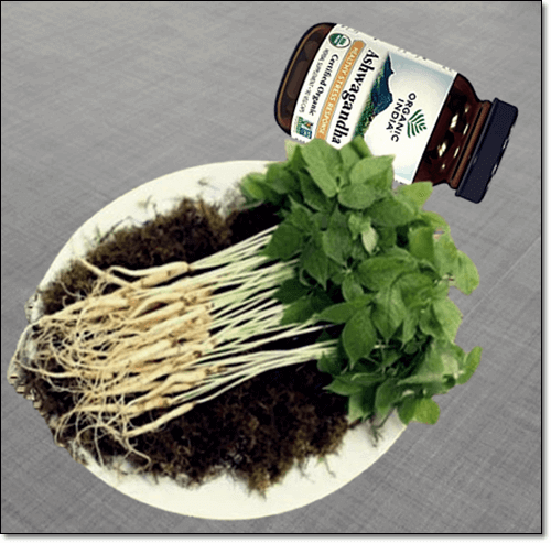 테스토스테론 생성에 도움이 되는 인삼과 아슈와 간다