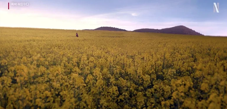 폭싹 속았수다 뜻