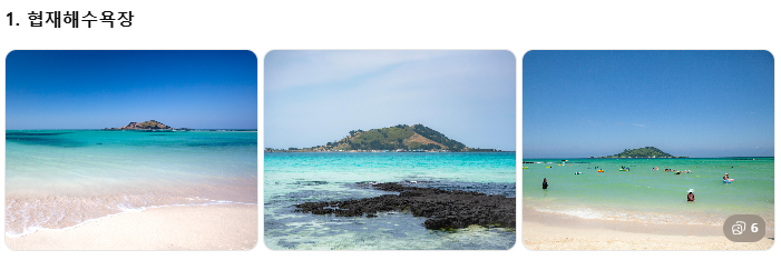 제주 쏠라티·카니발 투어 비교! 기사 포함 제주 승합차투어 요금·코스·후기 총정리