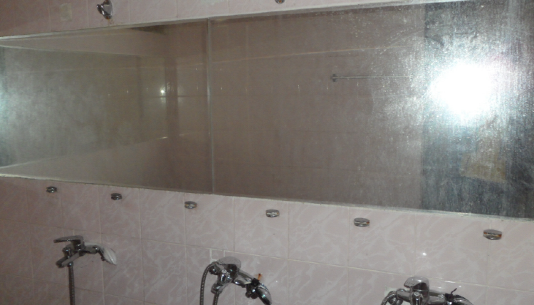 통고산 자연휴양림