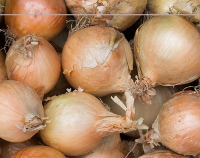 양파즙 효능 고혈압