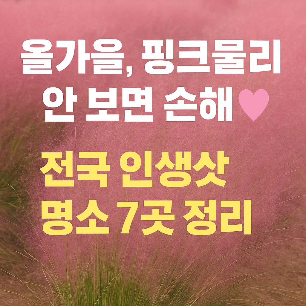 핑크뮬리 안 보면 손해