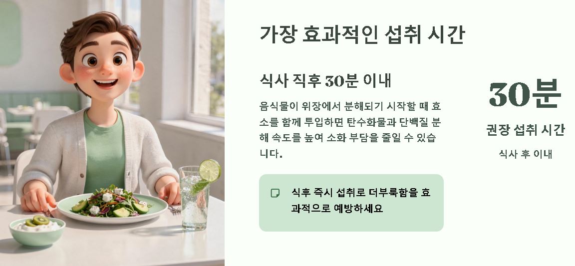 카무트 효소 먹는 시간