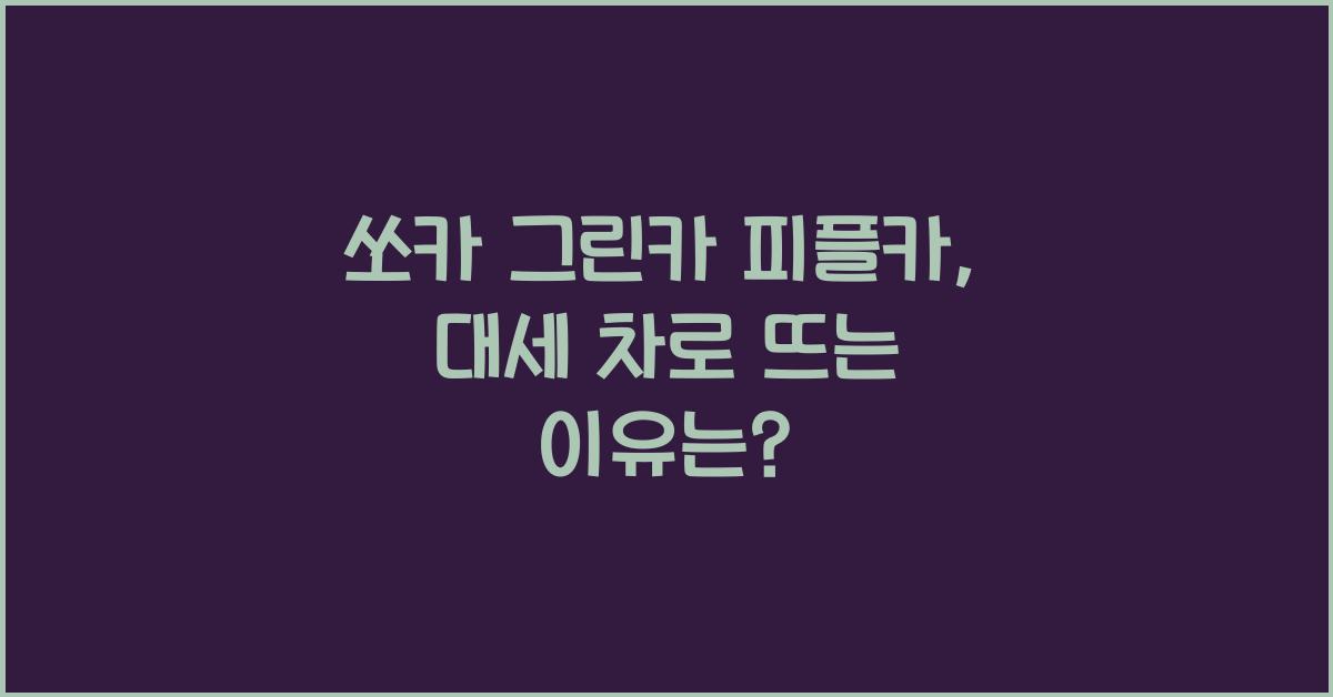 쏘카 그린카 피플카